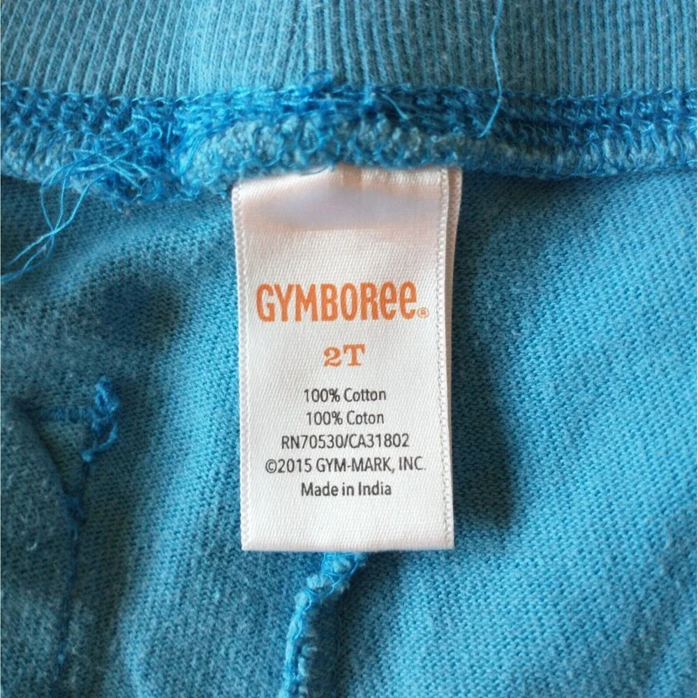 2T Gymboree Toddler Shorts Blue
